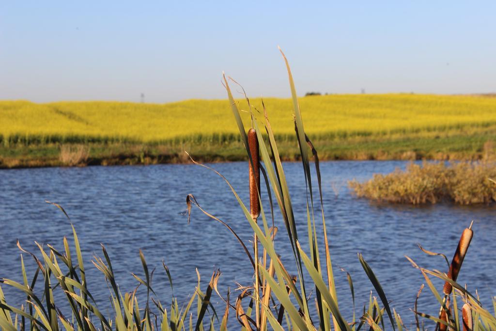 Agro Nad Stawem Villa Жуково Екстериор снимка